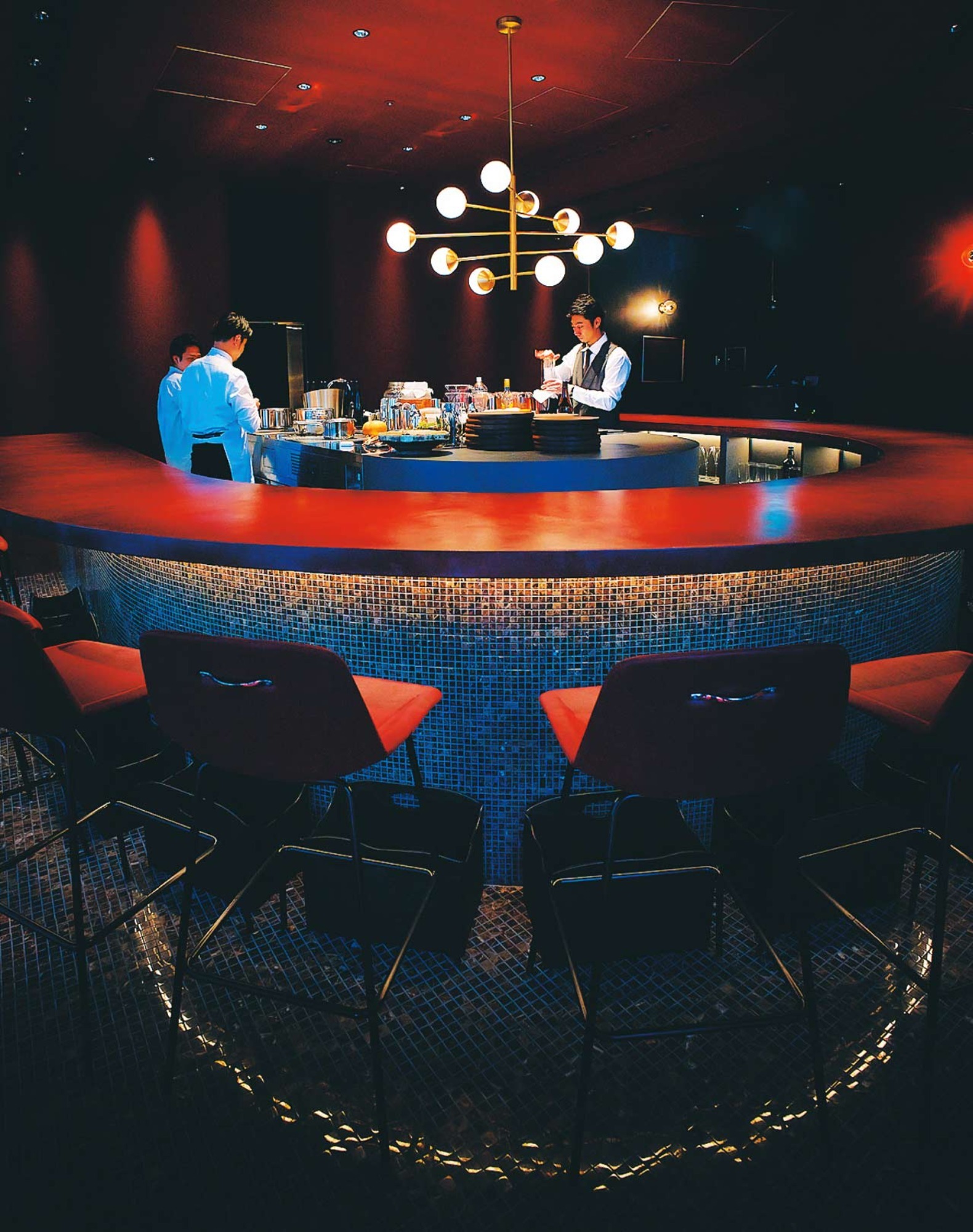 SODDEN FROGの写真