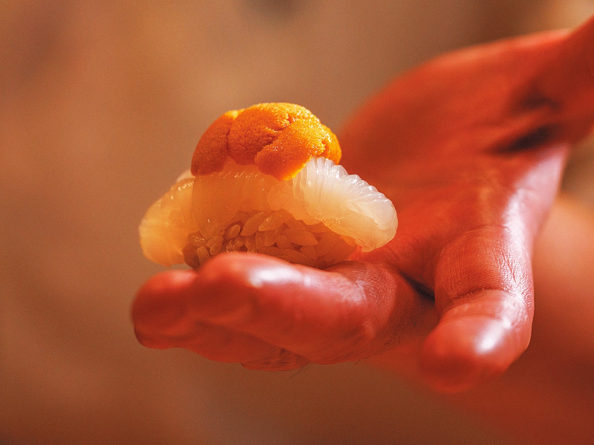 麻布台 ゆう利の写真