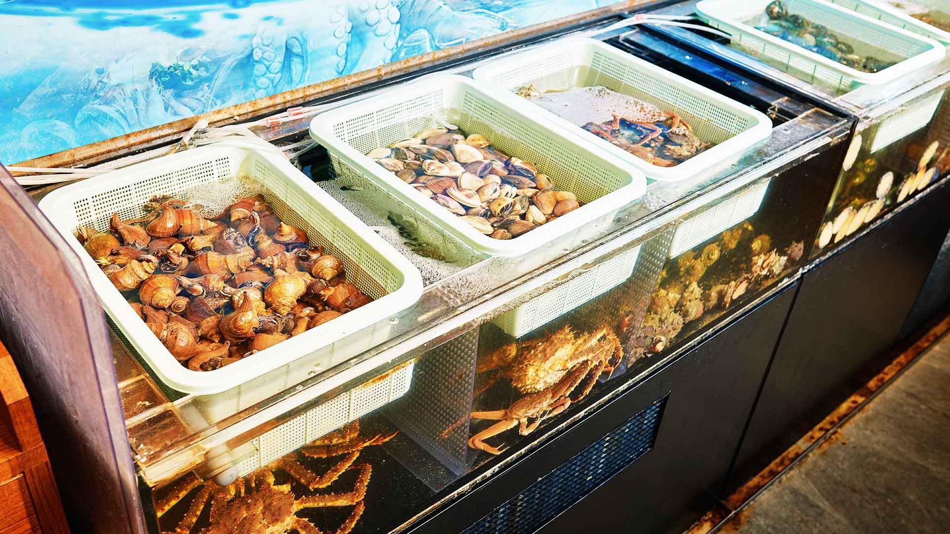 『中華街 桂宮』：生け簀