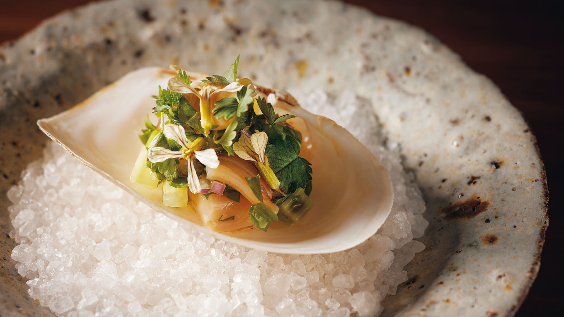 『ORIGINe』：スペシャリテコースより「ミル貝と若ごぼう、セロリのサラダ仕立て」